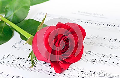 Red rose over Wedding March musical notes Stock Photo